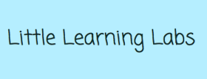 Little Learning Labs